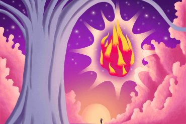 daydream Masi stardust