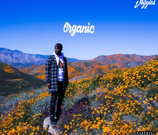 Casey Veggies