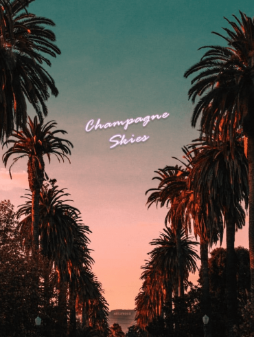 fonzie champagne skies