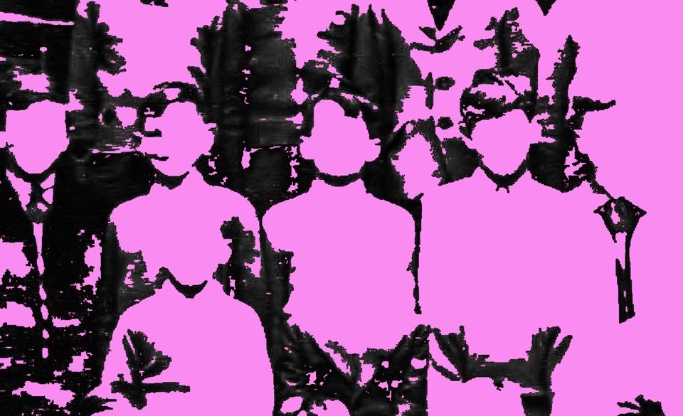 KDVSGOLIATH PINK