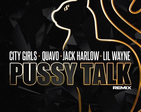 pussy taklk remix