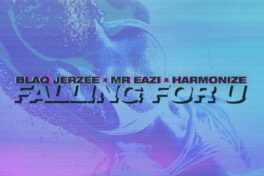 Blaq Jerzee Mr Eazi