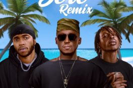 6LACK sere remix dj spinall fireboy dml