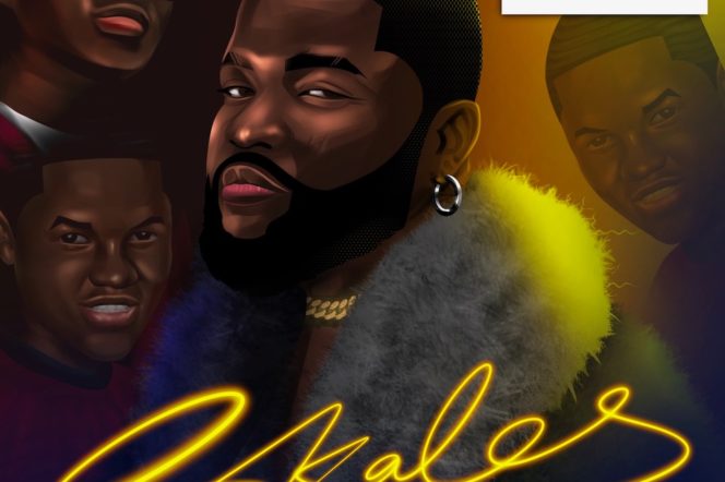 Skales nobody to somebody