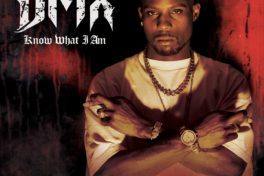 dmx know what i am