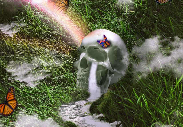 Indigo Child — Just Wanna Be Alright