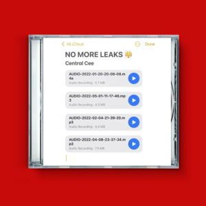 no more leaks central cee