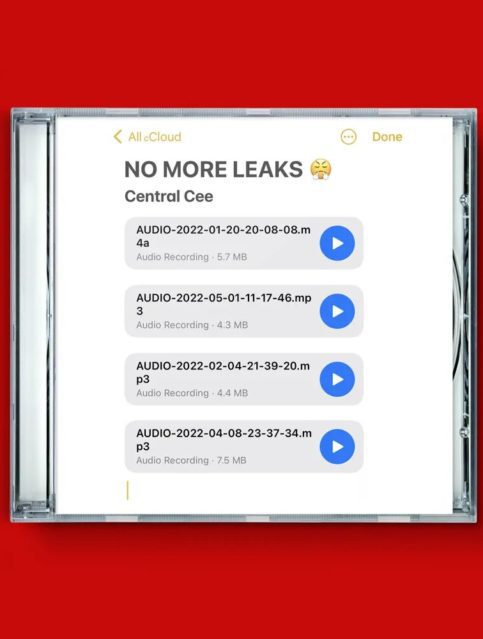 no more leaks central cee