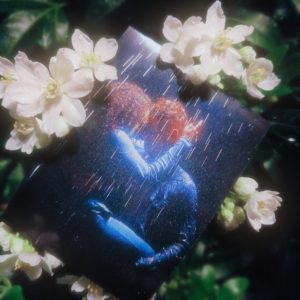 RainFall