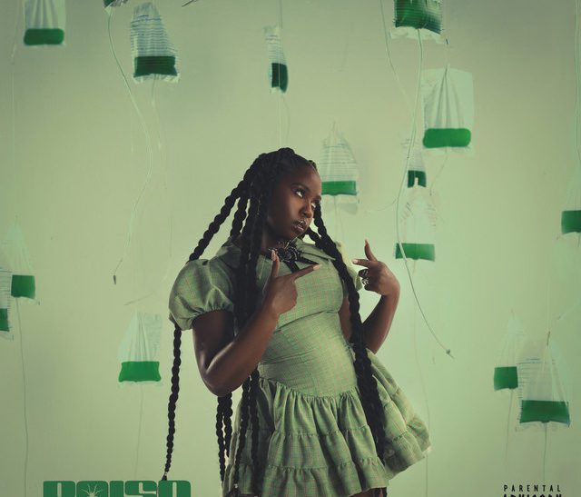 Lifesize Teddy POISN