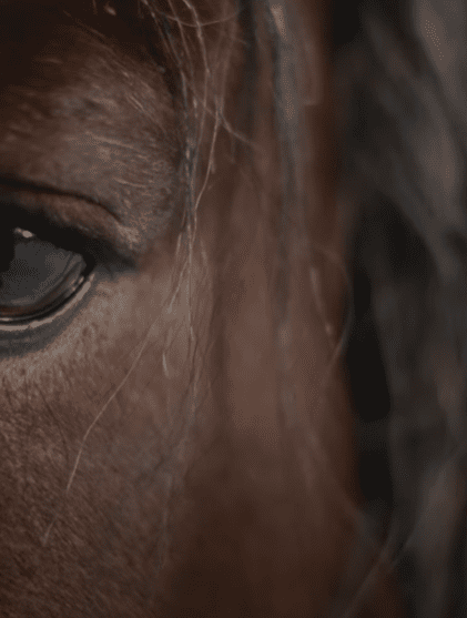 Gunna bittersweet video