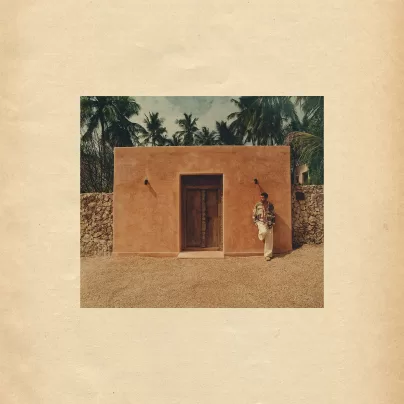 Ady Suleiman Chasing Artwork What If