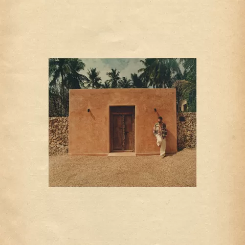 Ady Suleiman Chasing Artwork What If