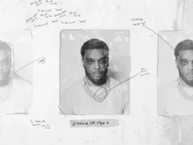 W1ZZY Stakes His Claim With Bold Mixtape ‘VOICE OF THE 6’